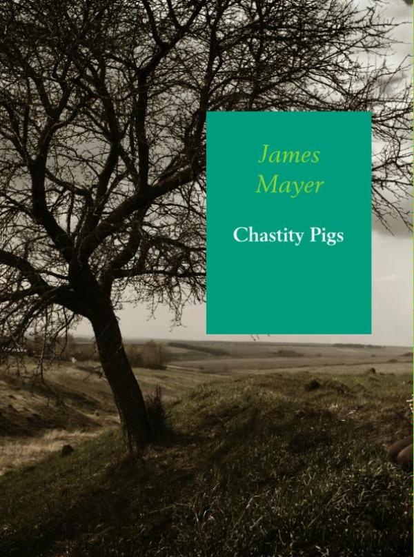 Chastity pigs (Ebook)