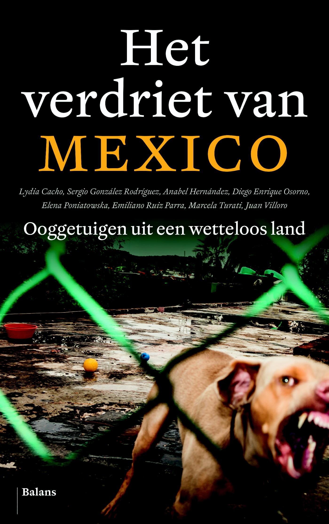Het verdriet van Mexico (Ebook)