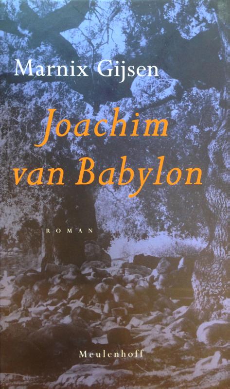 Het boek van Joachim van Babylon (Ebook)