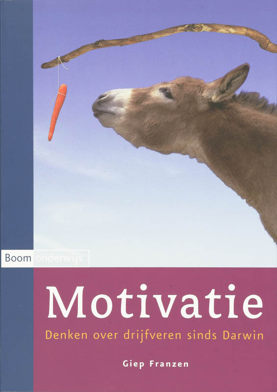Motivatie (Ebook)