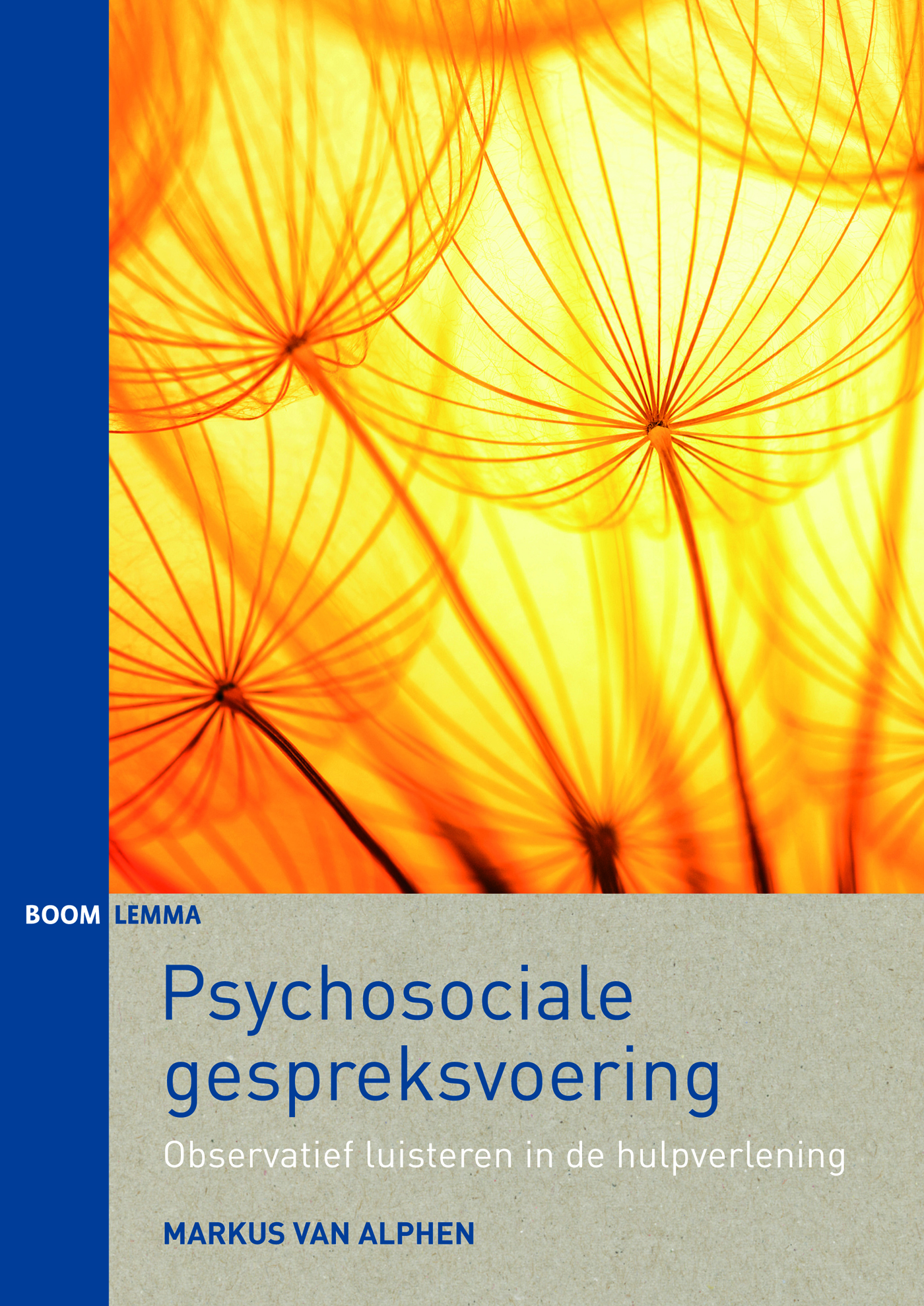 Psychosociale gespreksvoering (Ebook)