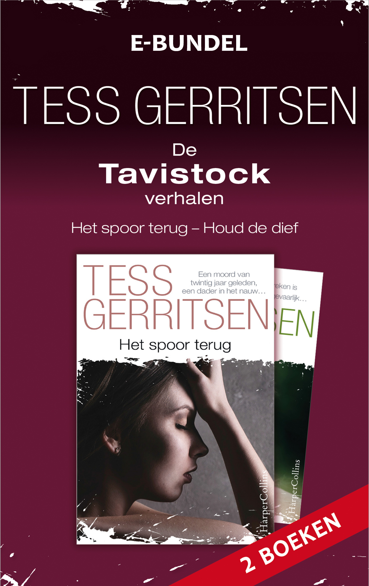 De Tavistock-verhalen (Ebook)