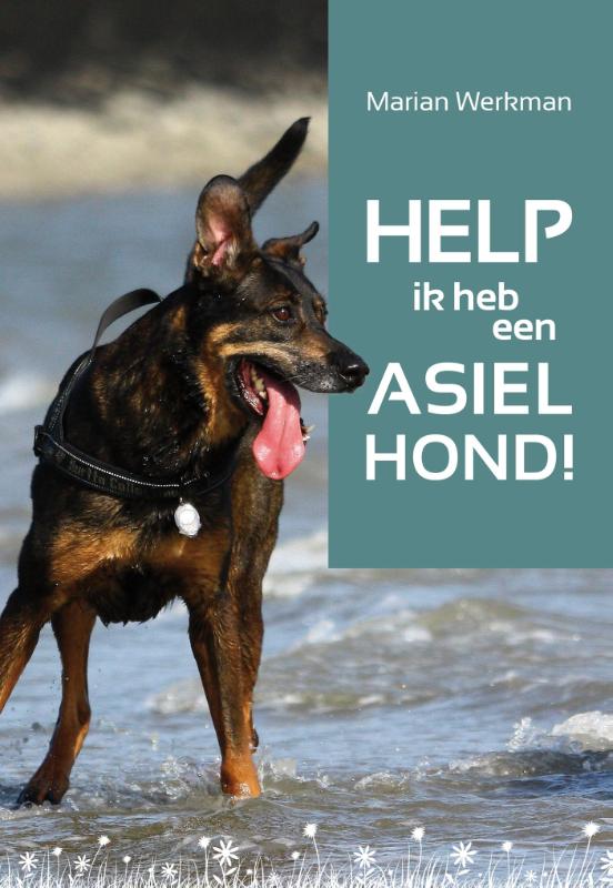 Help, ik heb een asielhond! (Ebook)