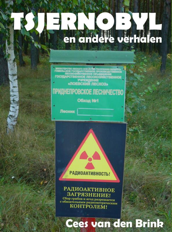 Tsjernobyl en andere verhalen (Ebook)