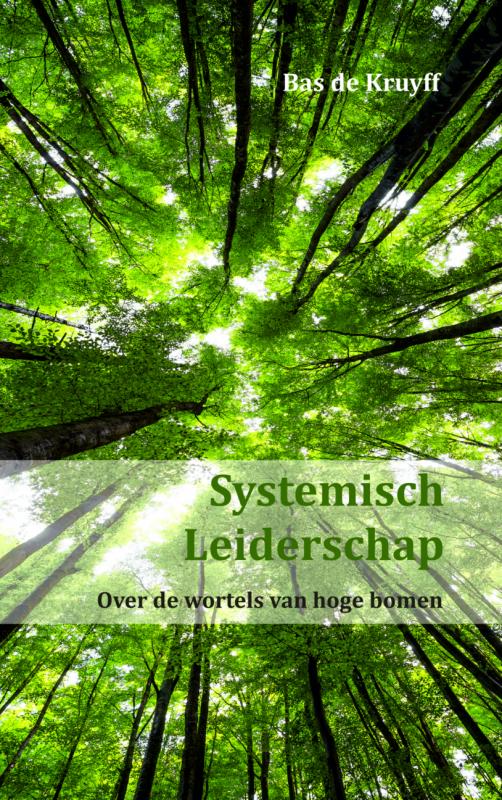 Systemisch leiderschap (Ebook)