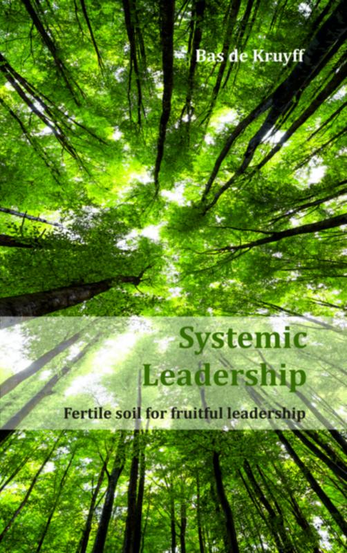 Systemic leadership (Ebook)