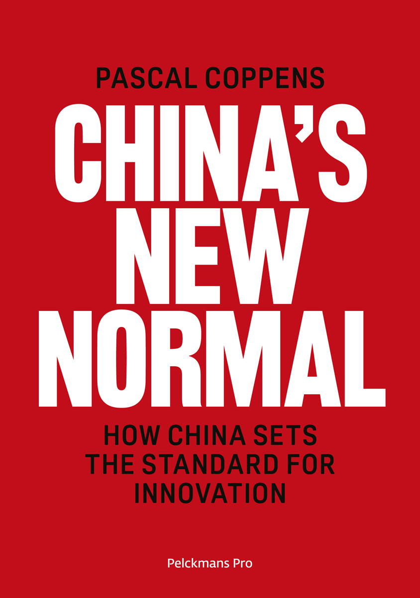 China's New Normal (Ebook)