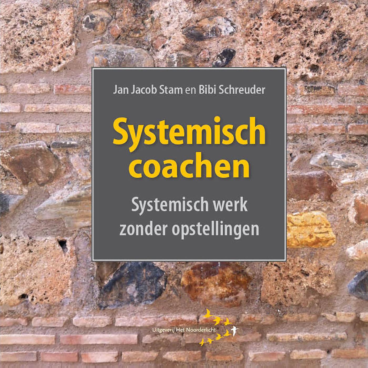 Systemisch coachen (Ebook)